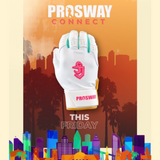 ProSway Connect- New Release